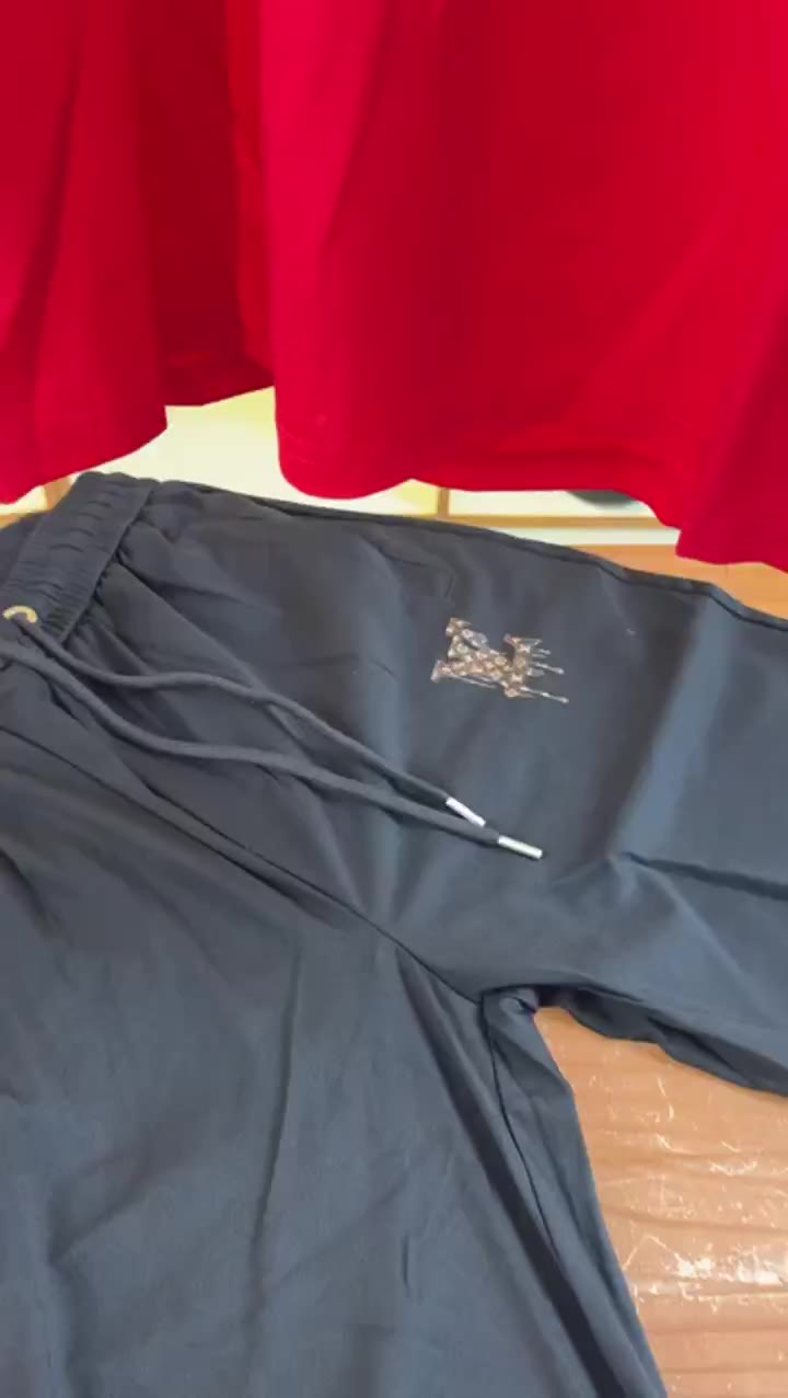 Louis Vuitton 6 video preview
