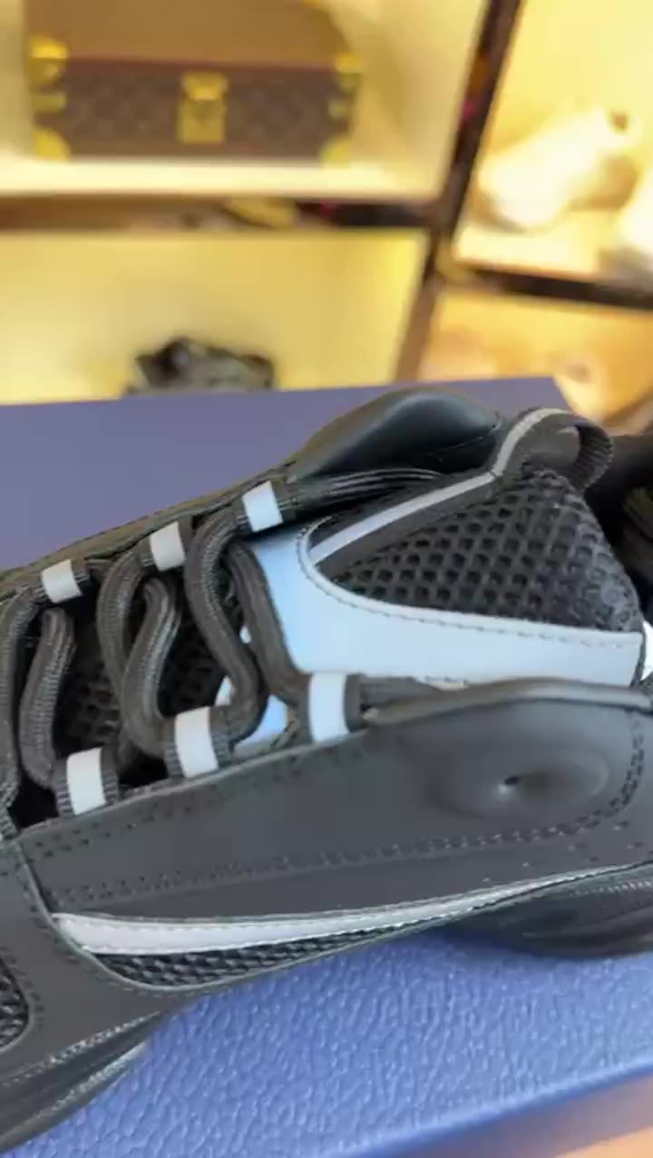Adidas Dunk High 3 video preview
