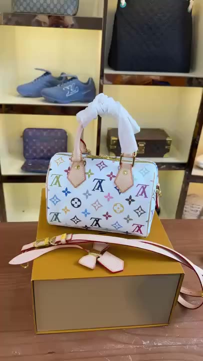 Louis Vuitton Speedy video preview