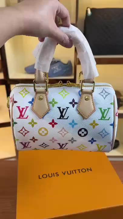Louis Vuitton Speedy Gm video preview