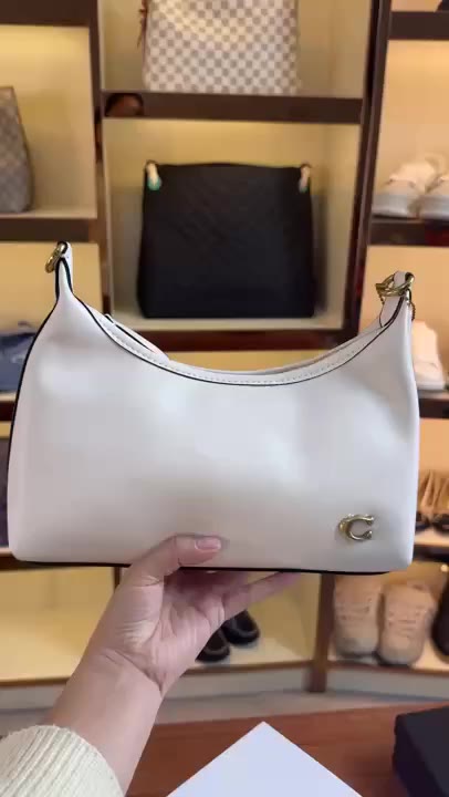 Gucci Handbag video preview